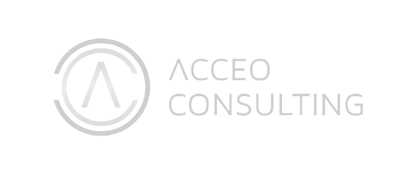 22.ACCEO-CONSALTING